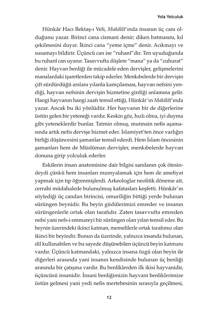 Devrana Girip Seyran Edelim – Sayfa 5