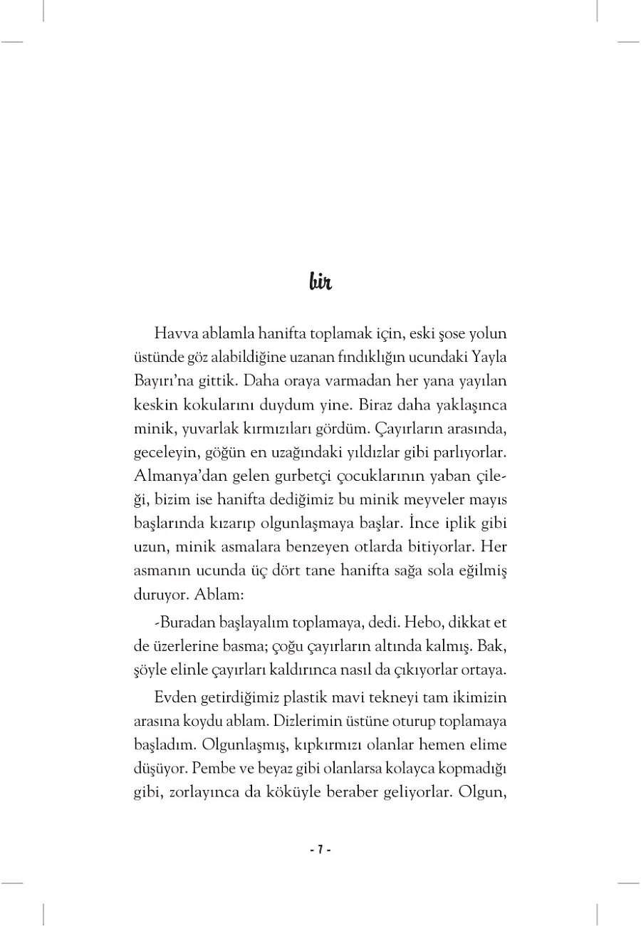Dere Yürüyüşü - Hebo 3 – Sayfa 2