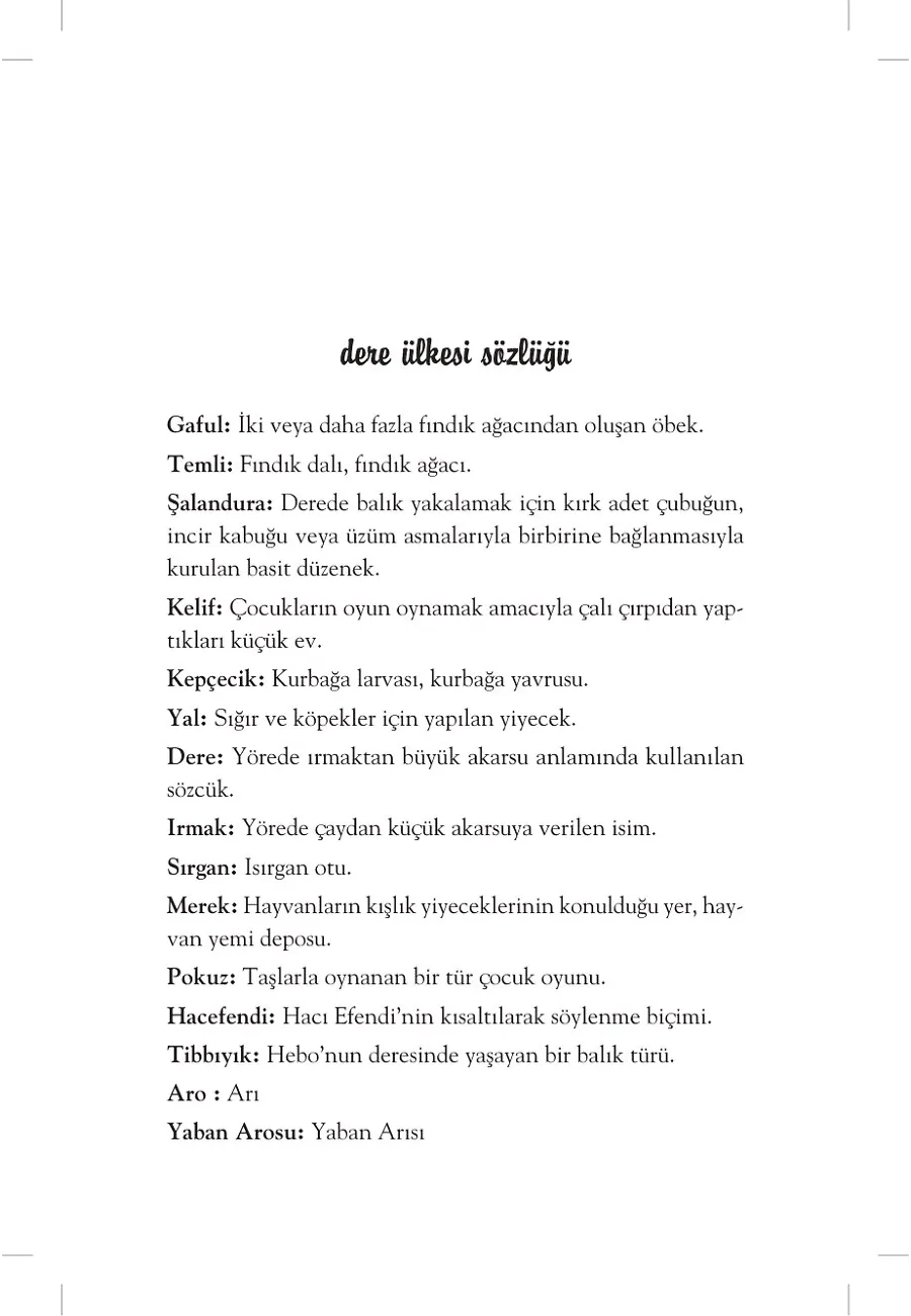 Dere Ülkesinin Yolcusu - Hebo – Sayfa 2
