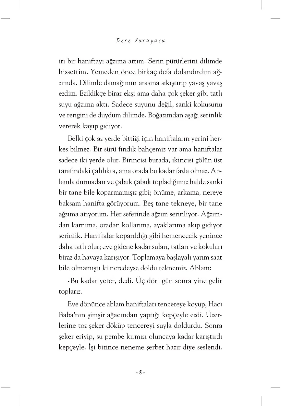 Dere Yürüyüşü - Hebo 3 – Sayfa 3