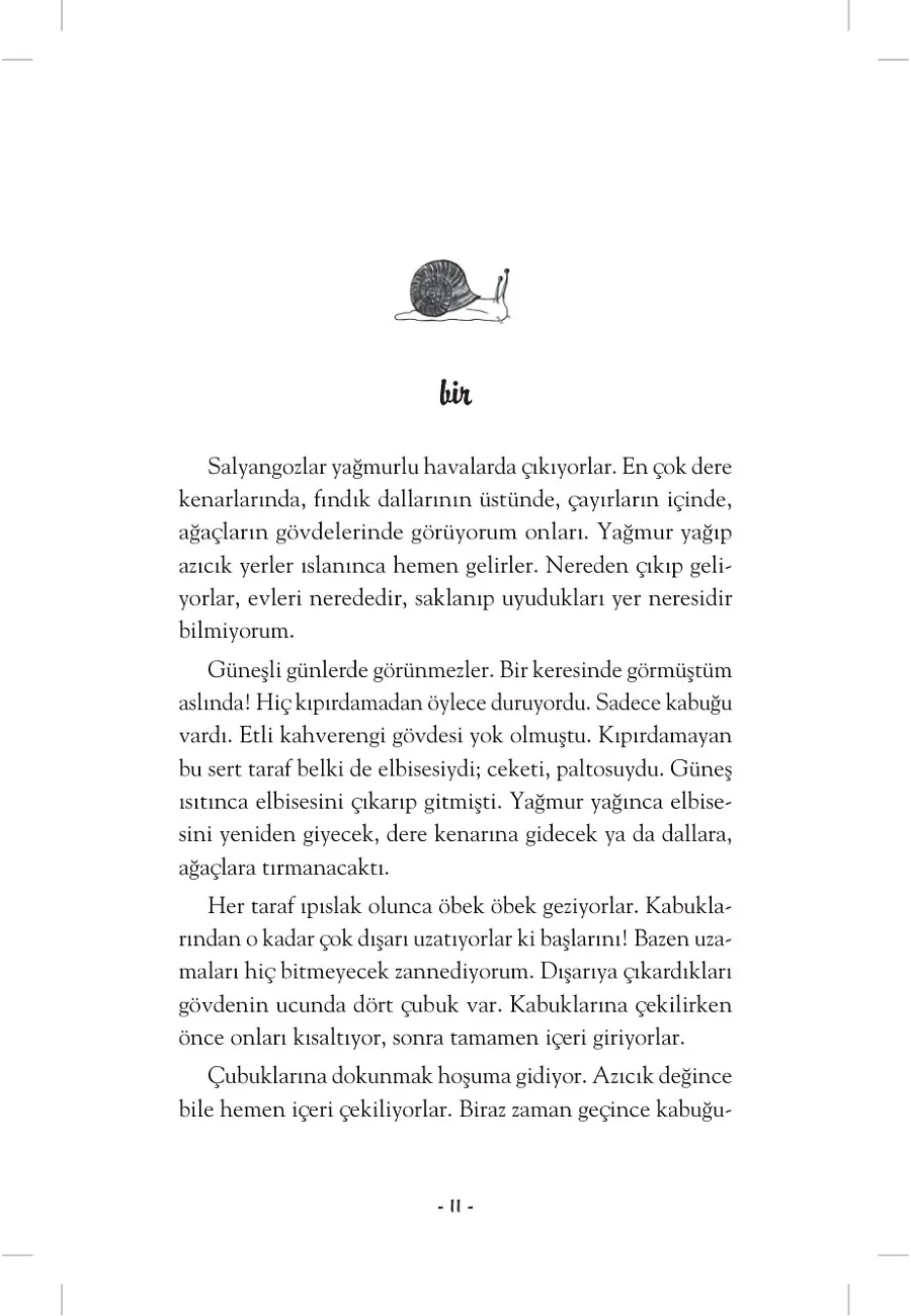 Dere Ülkesinin Yolcusu - Hebo – Sayfa 6