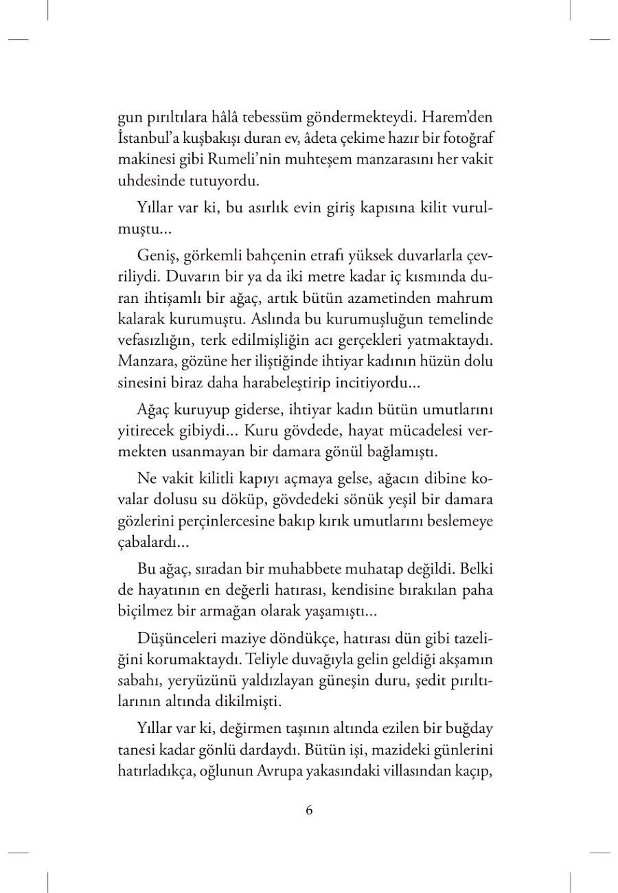 Dallar Meyveye Durdu – Sayfa 3