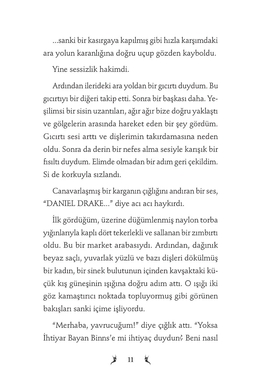 Dan Ve Buzdan Piramit – Sayfa 5