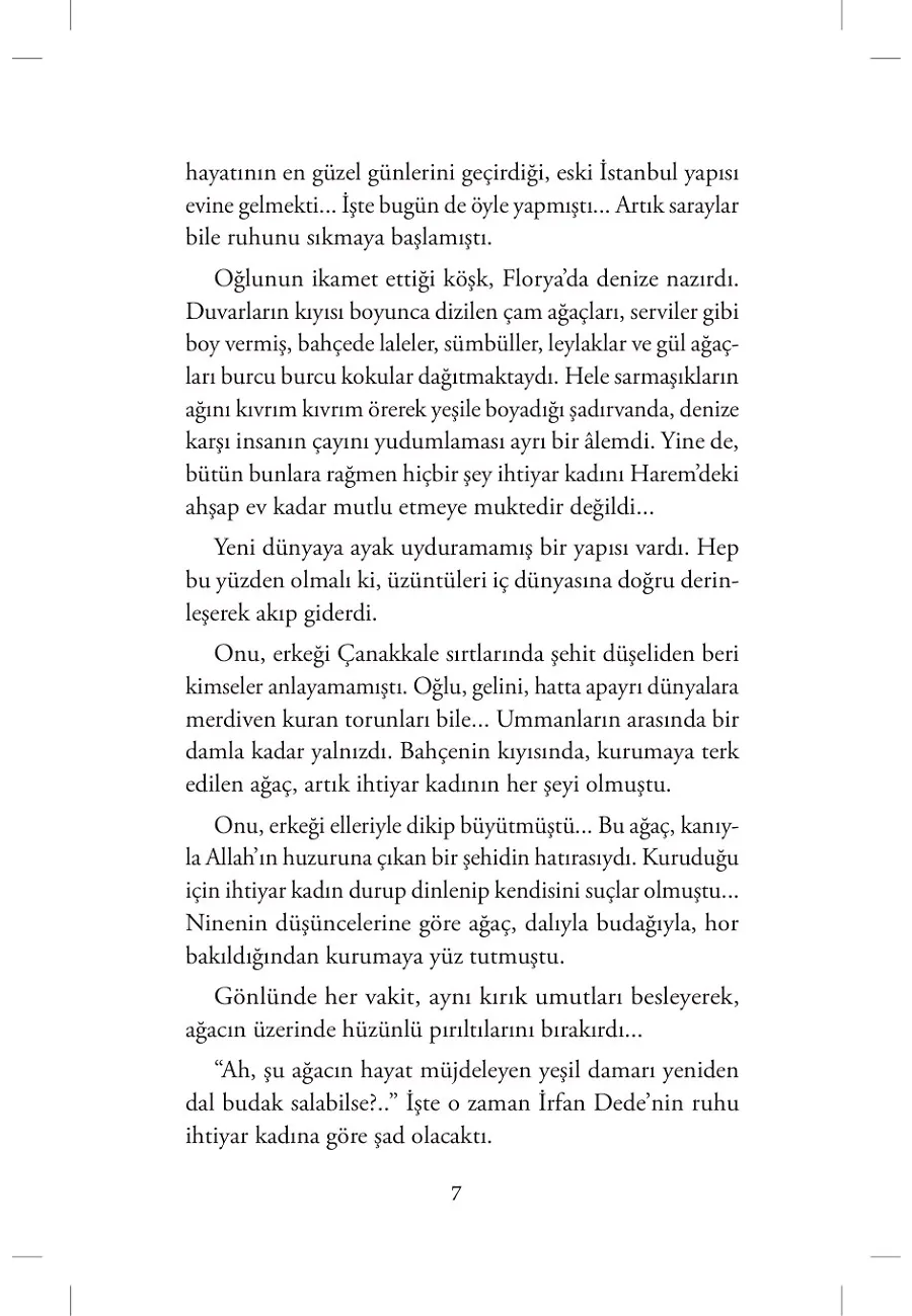 Dallar Meyveye Durdu – Sayfa 4