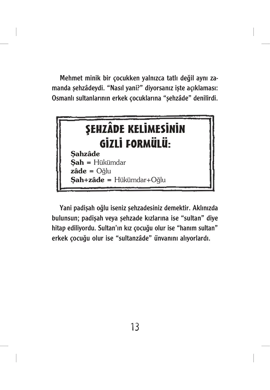 Dahi Fatih'in Muhteşem Fethi – Sayfa 5