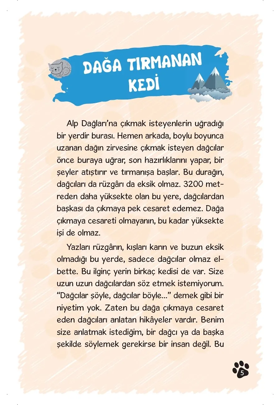 Dağa Tırmanan Kedi – Sayfa 2