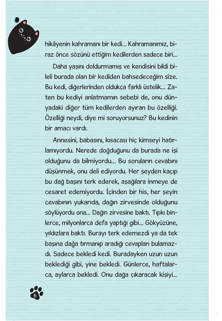 Dağa Tırmanan Kedi – Sayfa 3