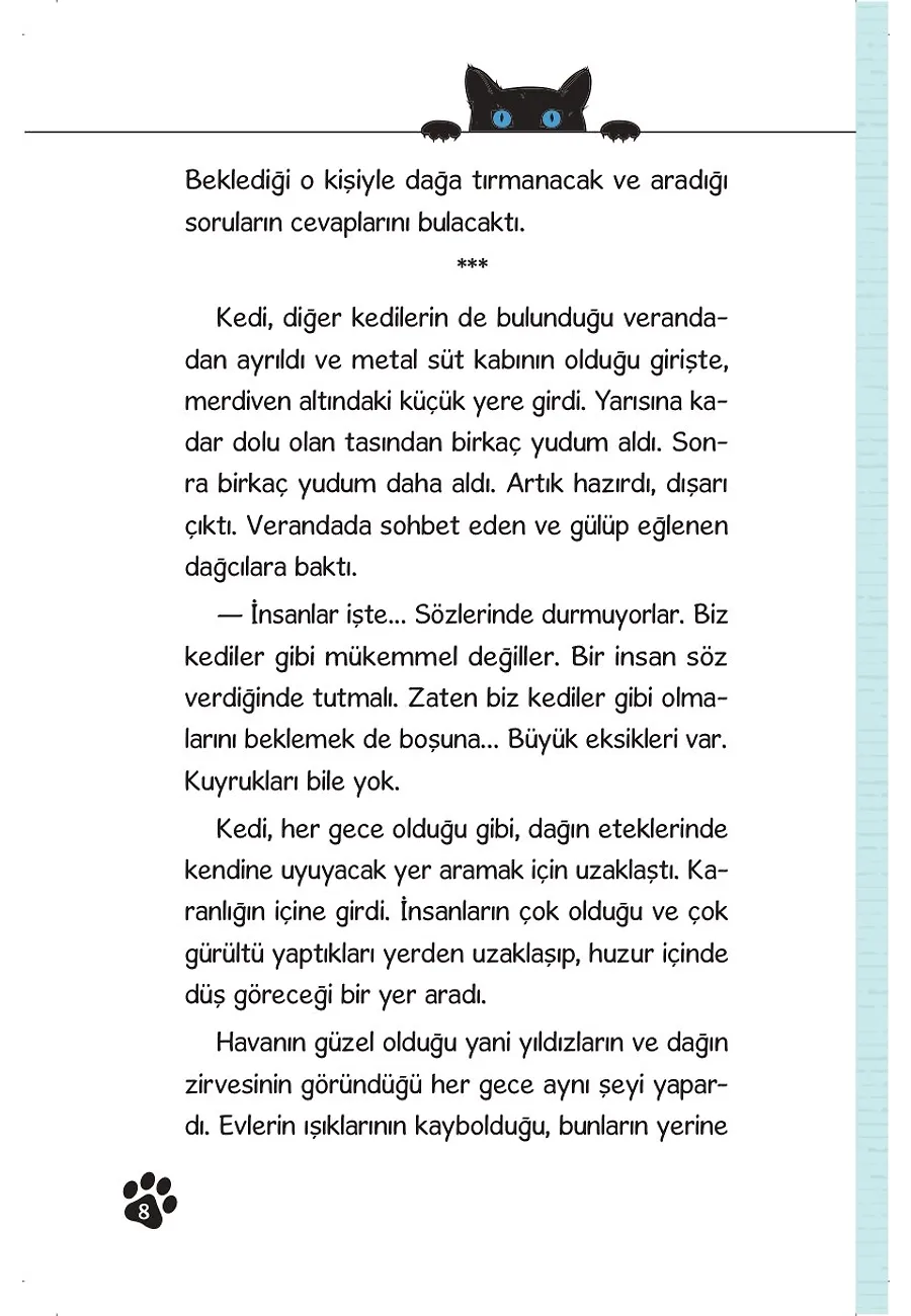 Dağa Tırmanan Kedi – Sayfa 5