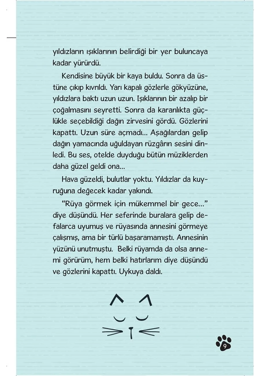 Dağa Tırmanan Kedi – Sayfa 6