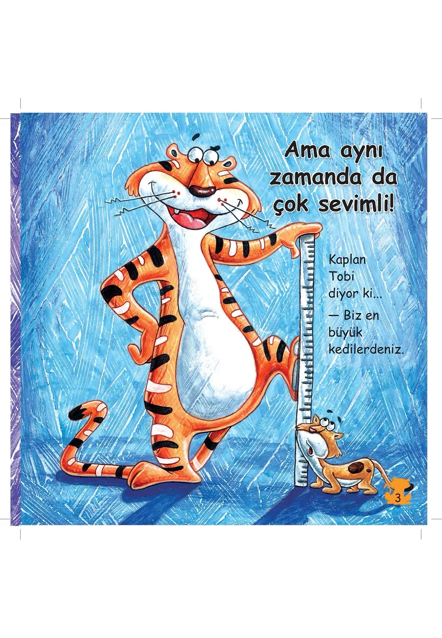 Çizgili Kaplanlar İle Tanışalım - Sevimli Hayvanlar – Sayfa 2