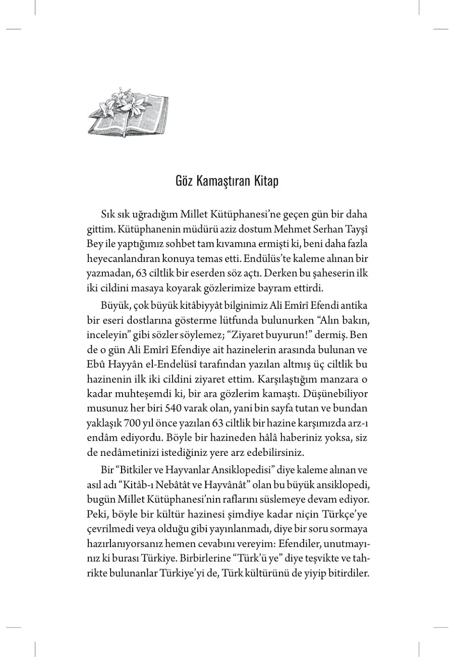 Çınaraltında Kitap Sohbetleri – Sayfa 5
