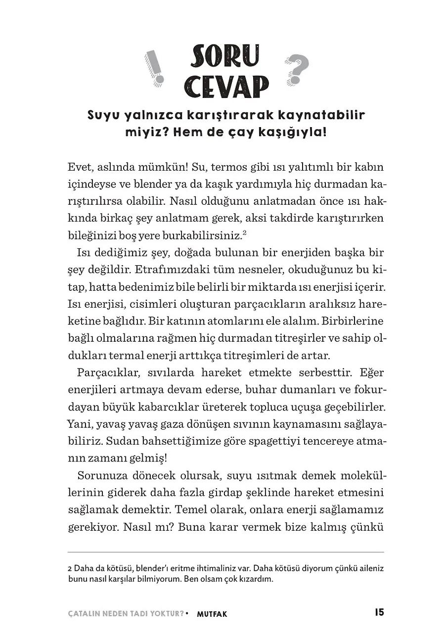 Çatalın Neden Tadı Yoktur? – Sayfa 5