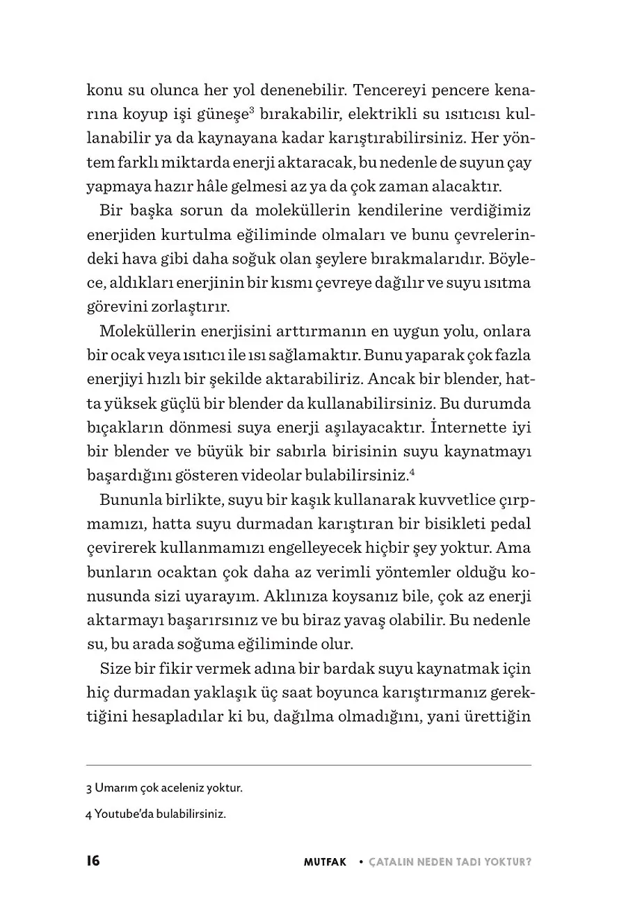 Çatalın Neden Tadı Yoktur? – Sayfa 6