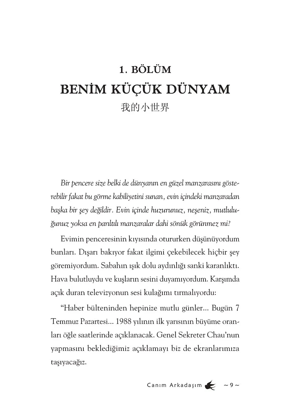 Canım Arkadaşım – Sayfa 2