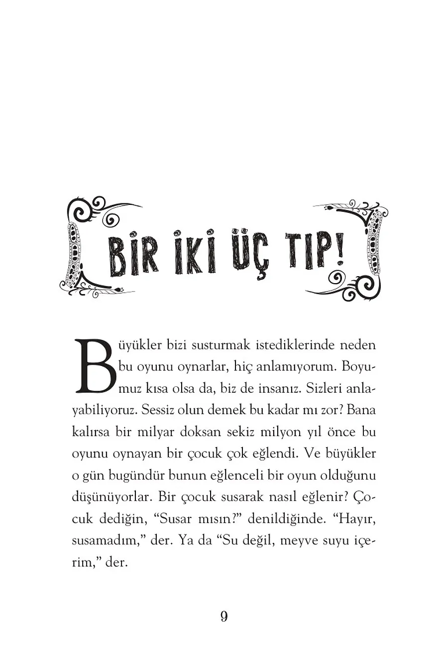 Can Avar - Küçük Şapşallık Kutusu (Ciltli) – Sayfa 4