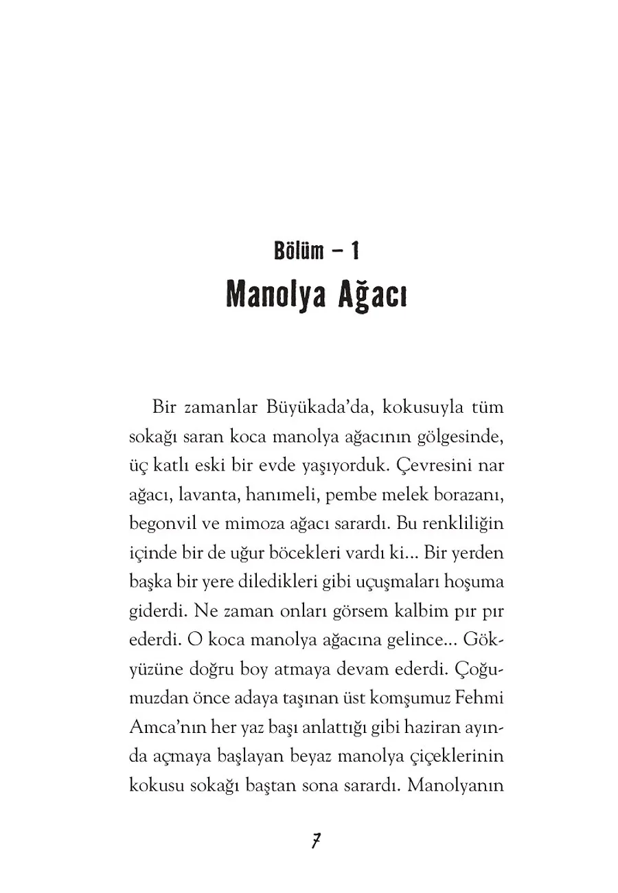 Büyük Dostum – Sayfa 1