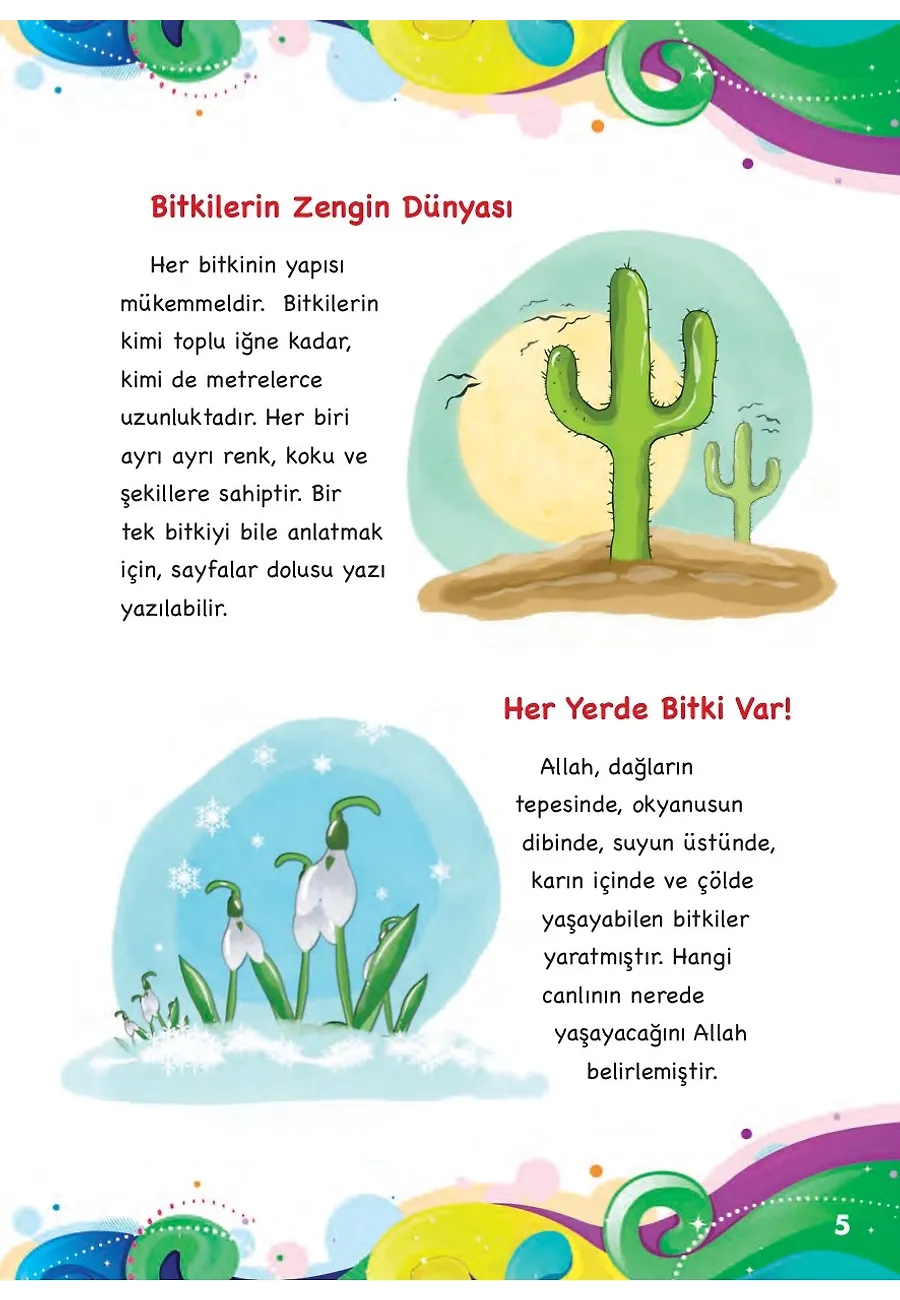 Bitkilerin Renkli Dünyası - Her Şey Allah'ı Anlatıyor – Sayfa 5