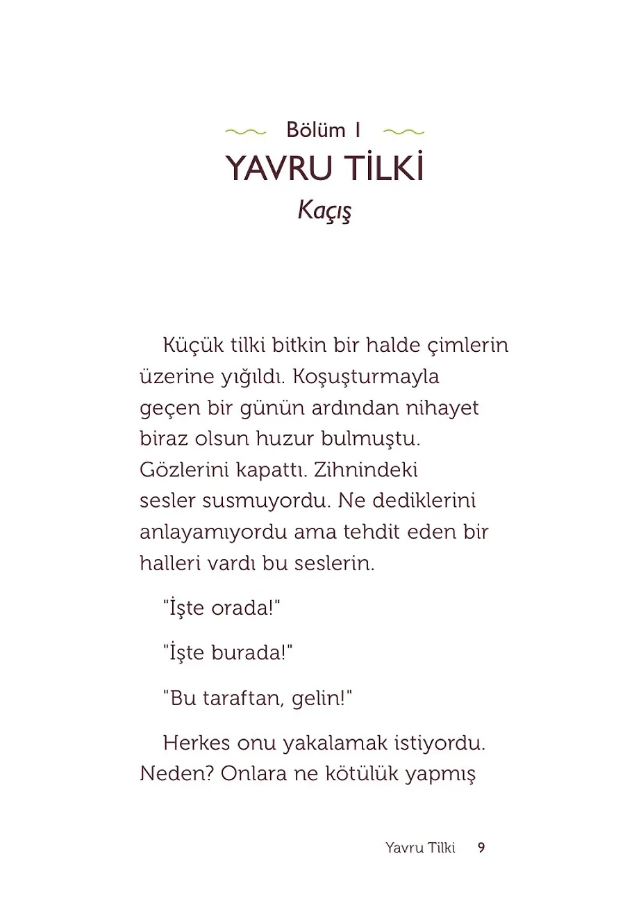 Bir Tilki, Bir Hikaye – Sayfa 1