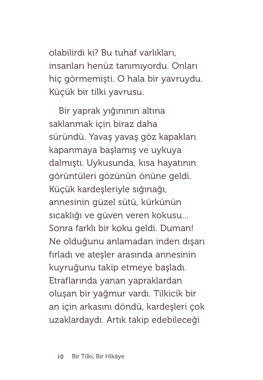Bir Tilki, Bir Hikaye – Sayfa 2