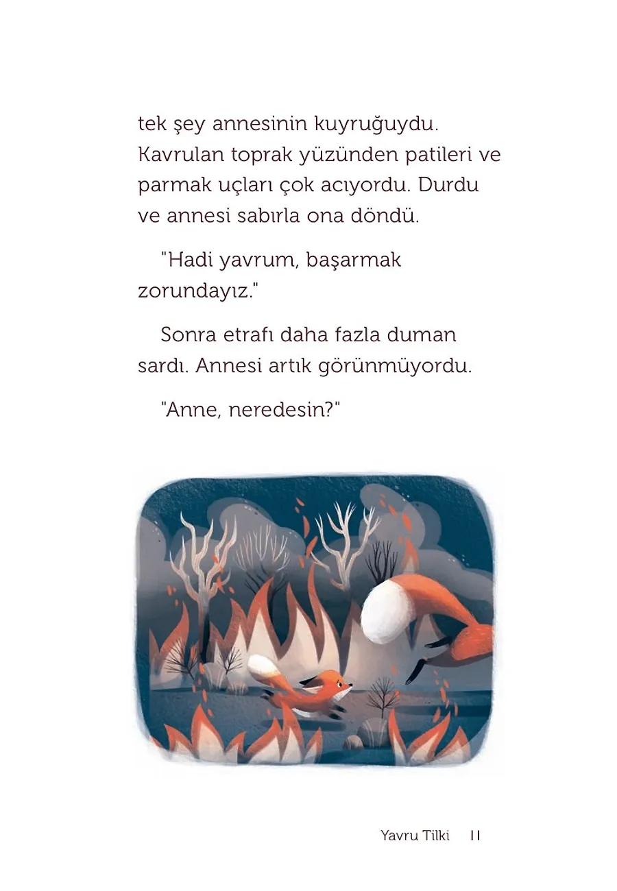 Bir Tilki, Bir Hikaye – Sayfa 3
