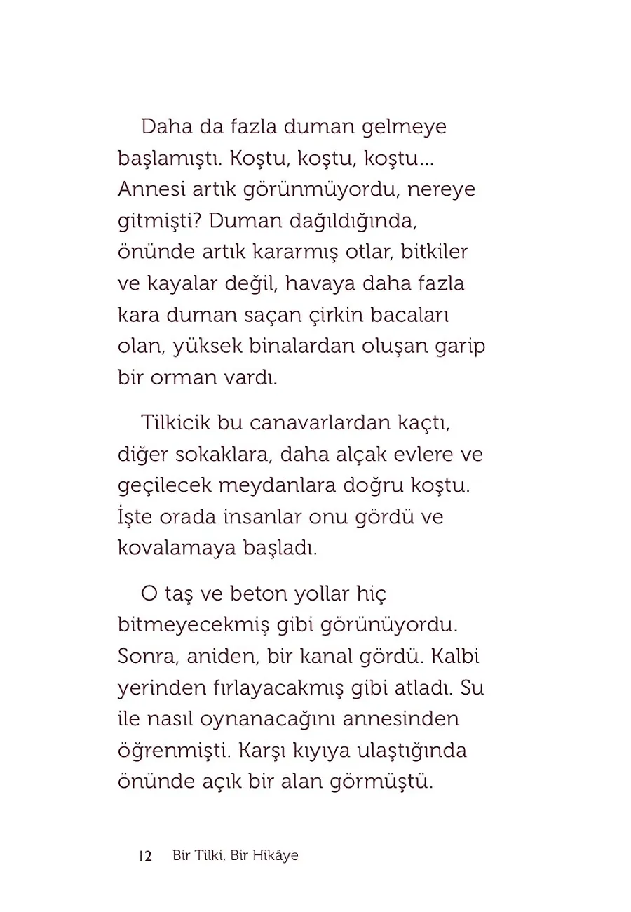 Bir Tilki, Bir Hikaye – Sayfa 4