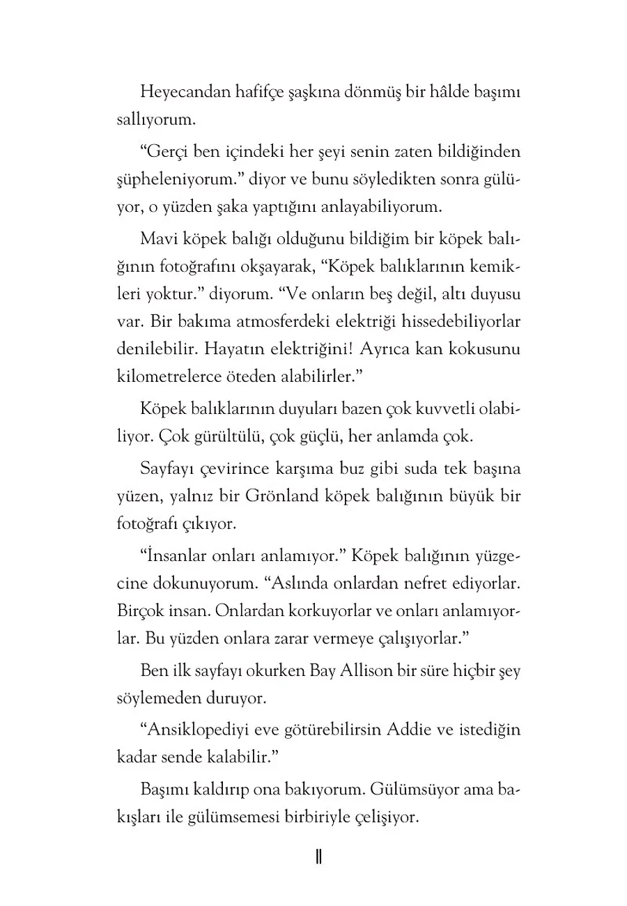 Bir Tür Kıvılcım – Sayfa 5