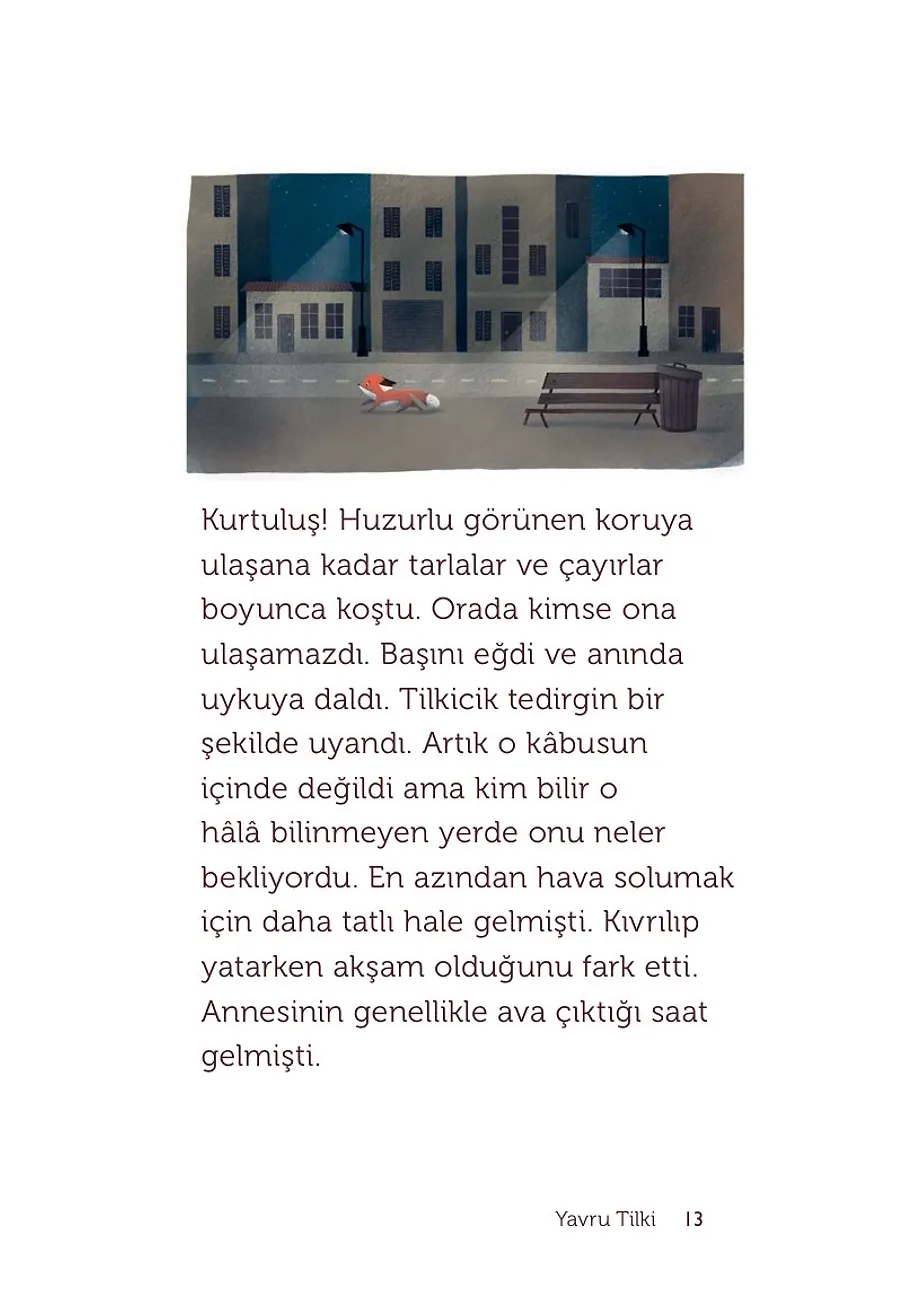Bir Tilki, Bir Hikaye – Sayfa 5