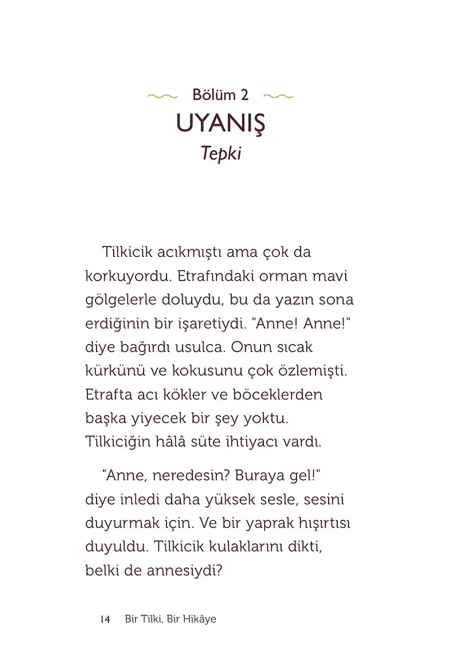 Bir Tilki, Bir Hikaye – Sayfa 6