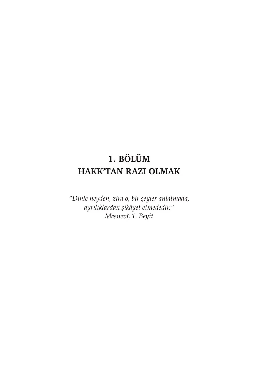 Bir Neyzen, İki Derya – Sayfa 3