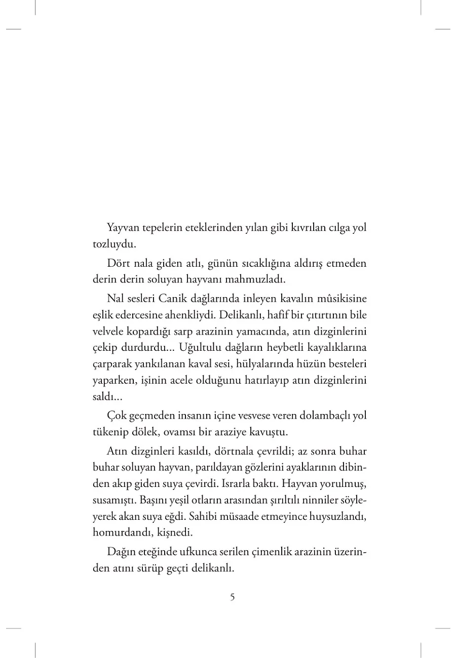 Bir Dünya Yıkıldı – Sayfa 2