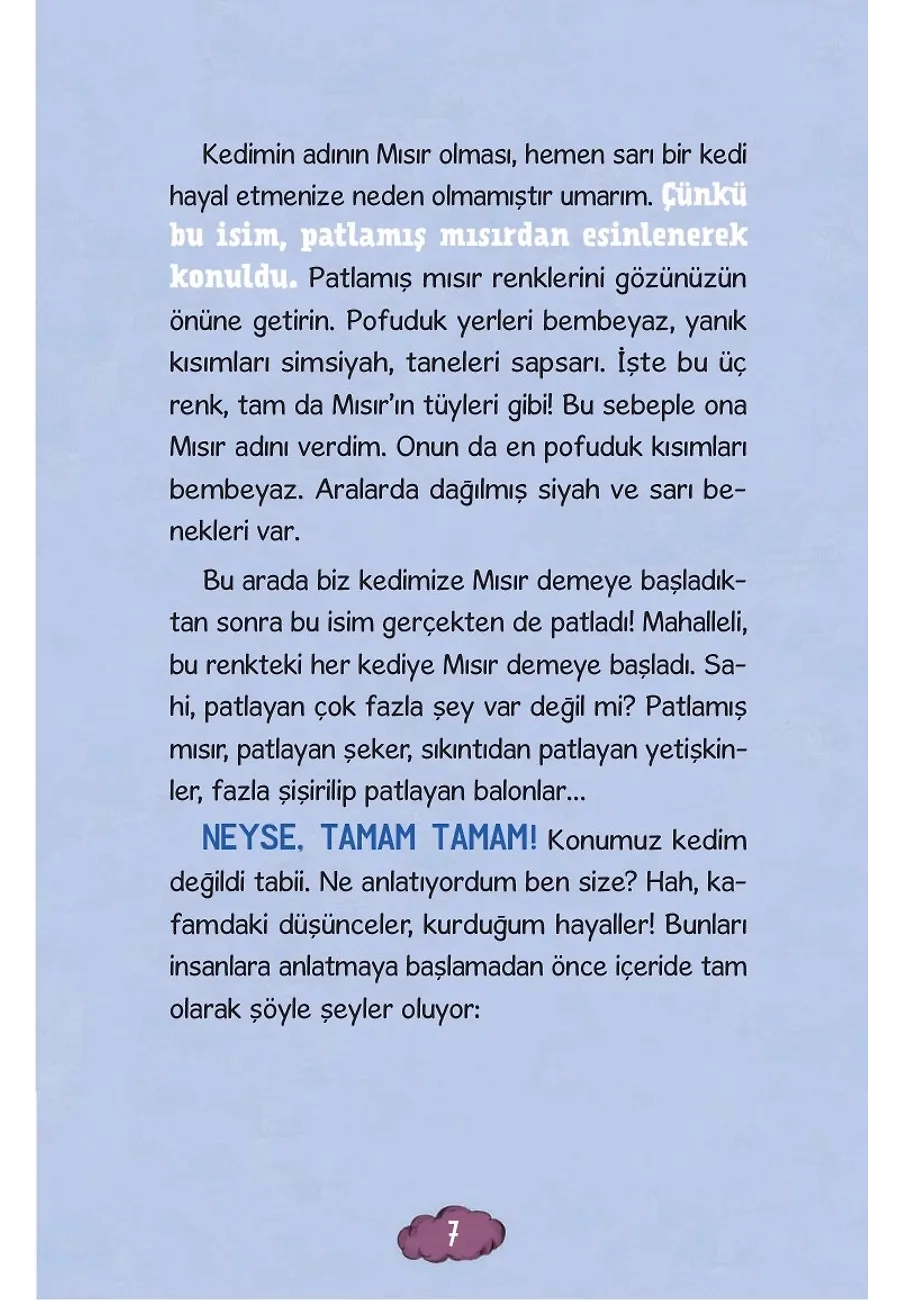 Bir Hayal Burnunuzdan Kaçarsa – Sayfa 3