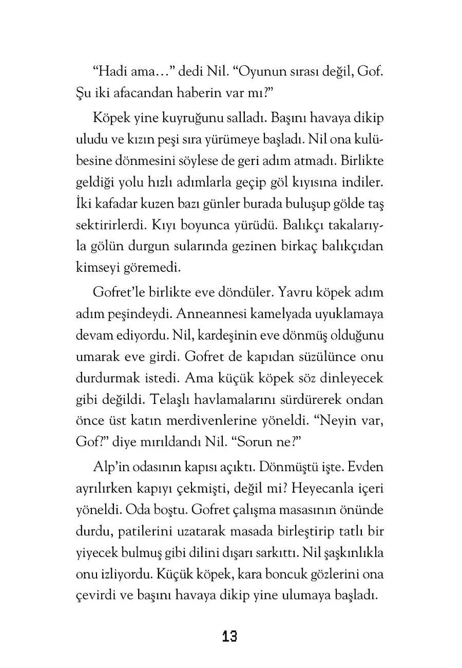 Bir Oyunun İçinde Miyiz? – Sayfa 5