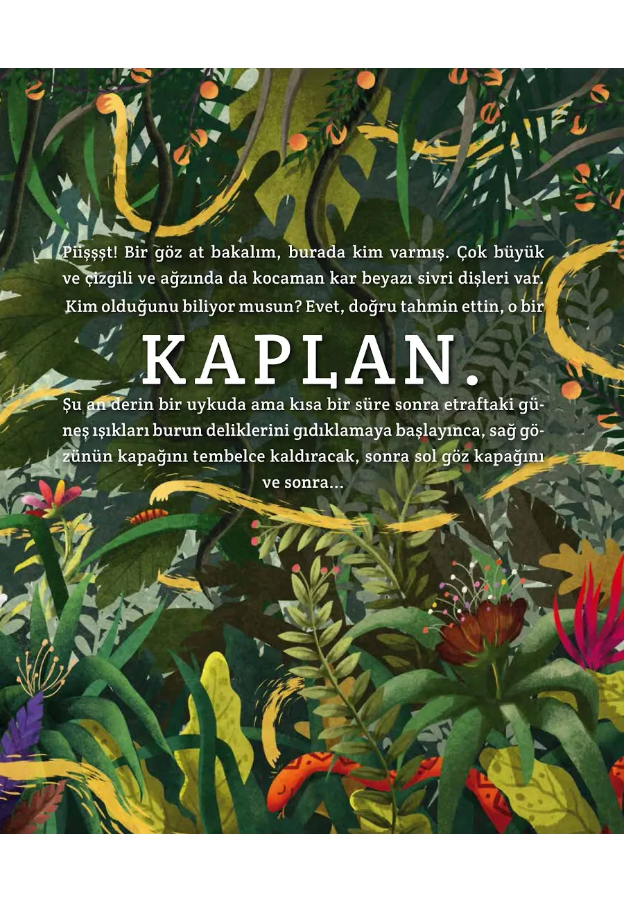 Bir Kaplanın Gizli Yaşamı – Sayfa 3
