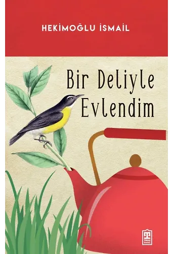 Bir Deliyle Evlendim