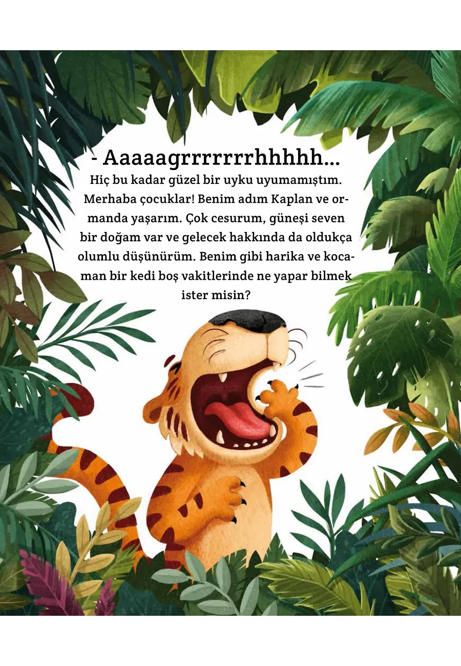 Bir Kaplanın Gizli Yaşamı – Sayfa 4
