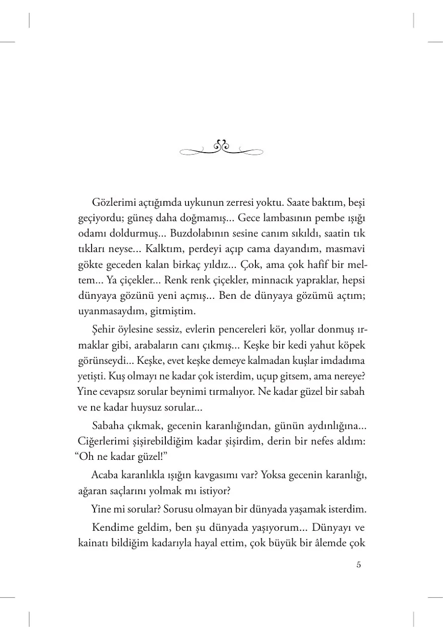 Bir Deliyle Evlendim – Sayfa 3