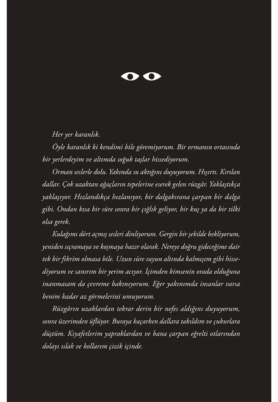 Ben Vincent Ve Korkmuyorum – Sayfa 1