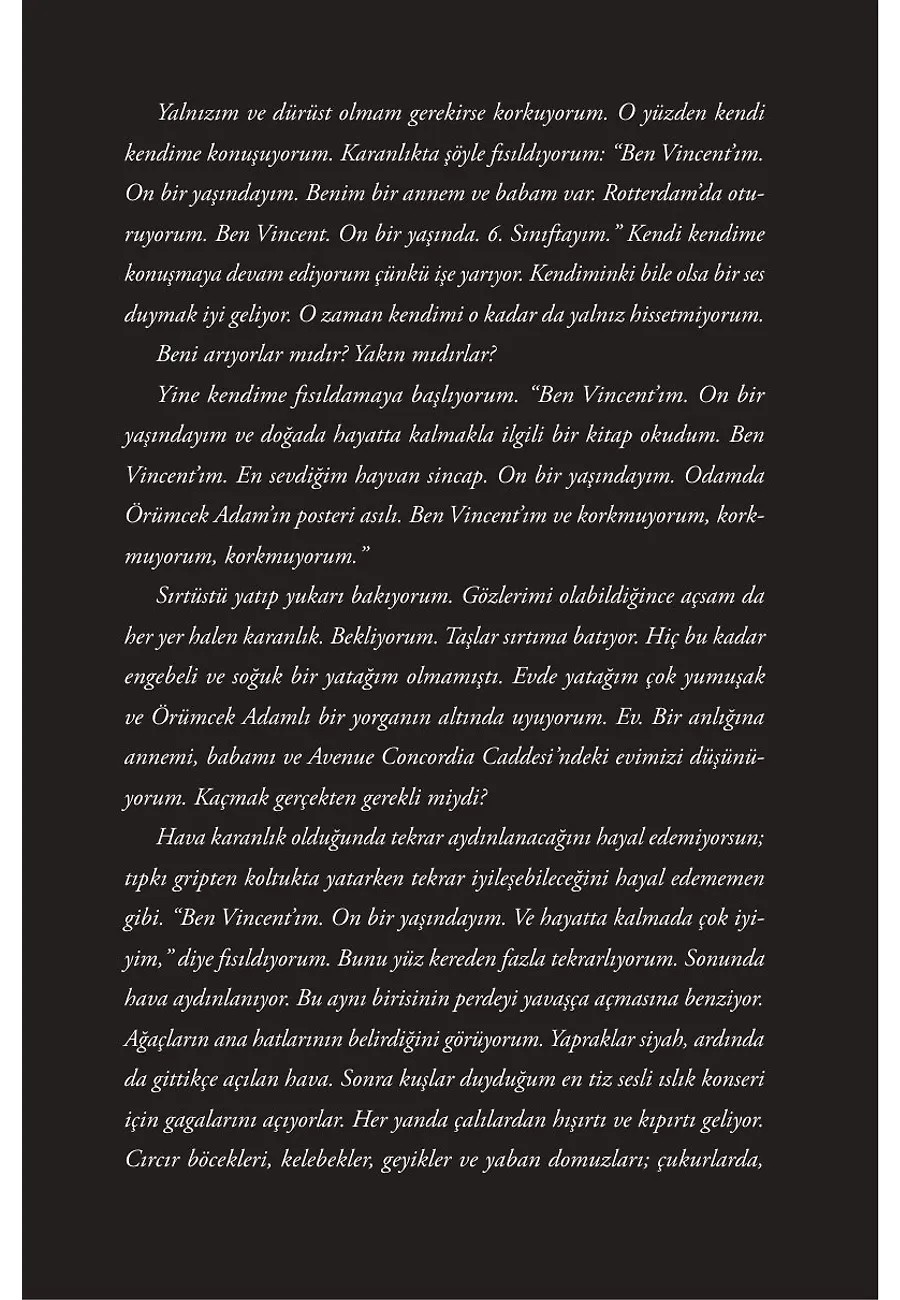 Ben Vincent Ve Korkmuyorum – Sayfa 2