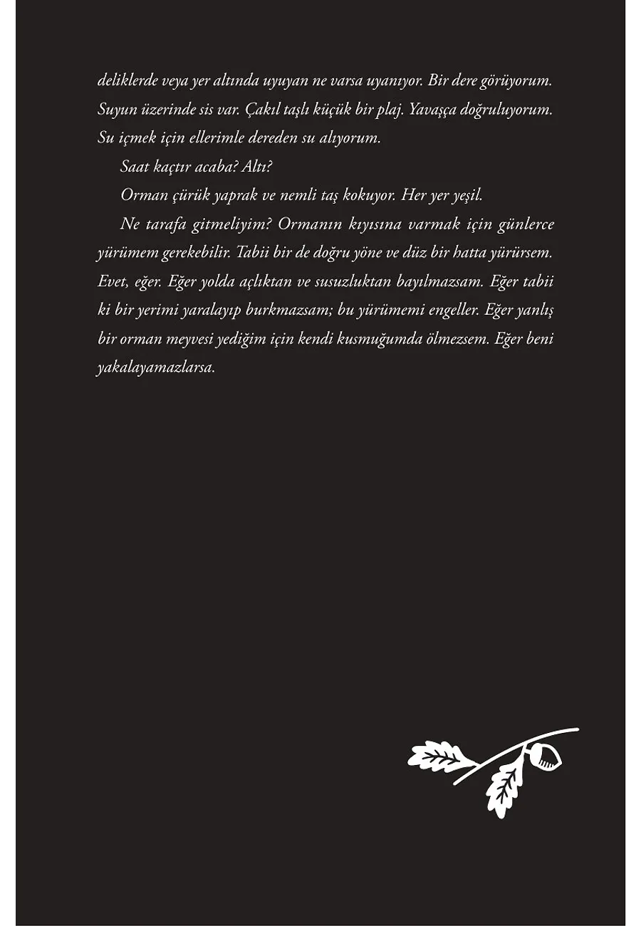 Ben Vincent Ve Korkmuyorum – Sayfa 3