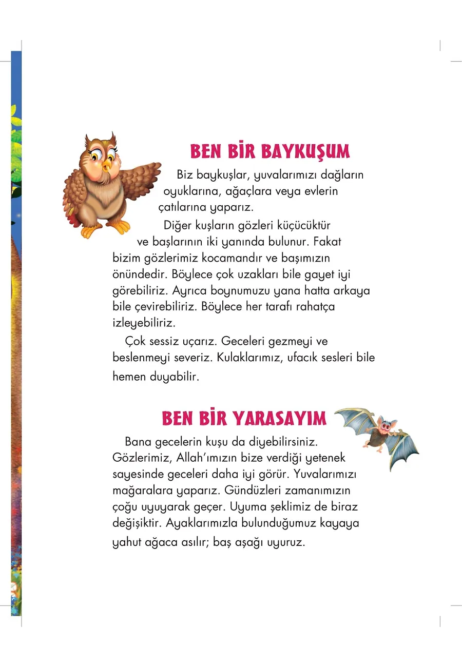 Baykuş Piko Allah'ın Mucib İsmini Öğreniyor - Allah'ın İsimlerini Öğreniyorum 2 – Sayfa 2