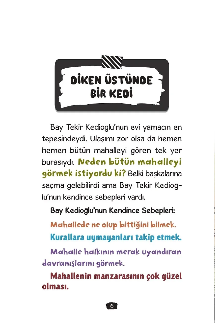 Bay Tekir Ve Onun Tuhaf Kuralları – Sayfa 4