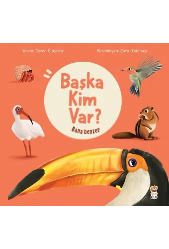 Bana Benzer - Başka Kim Var?