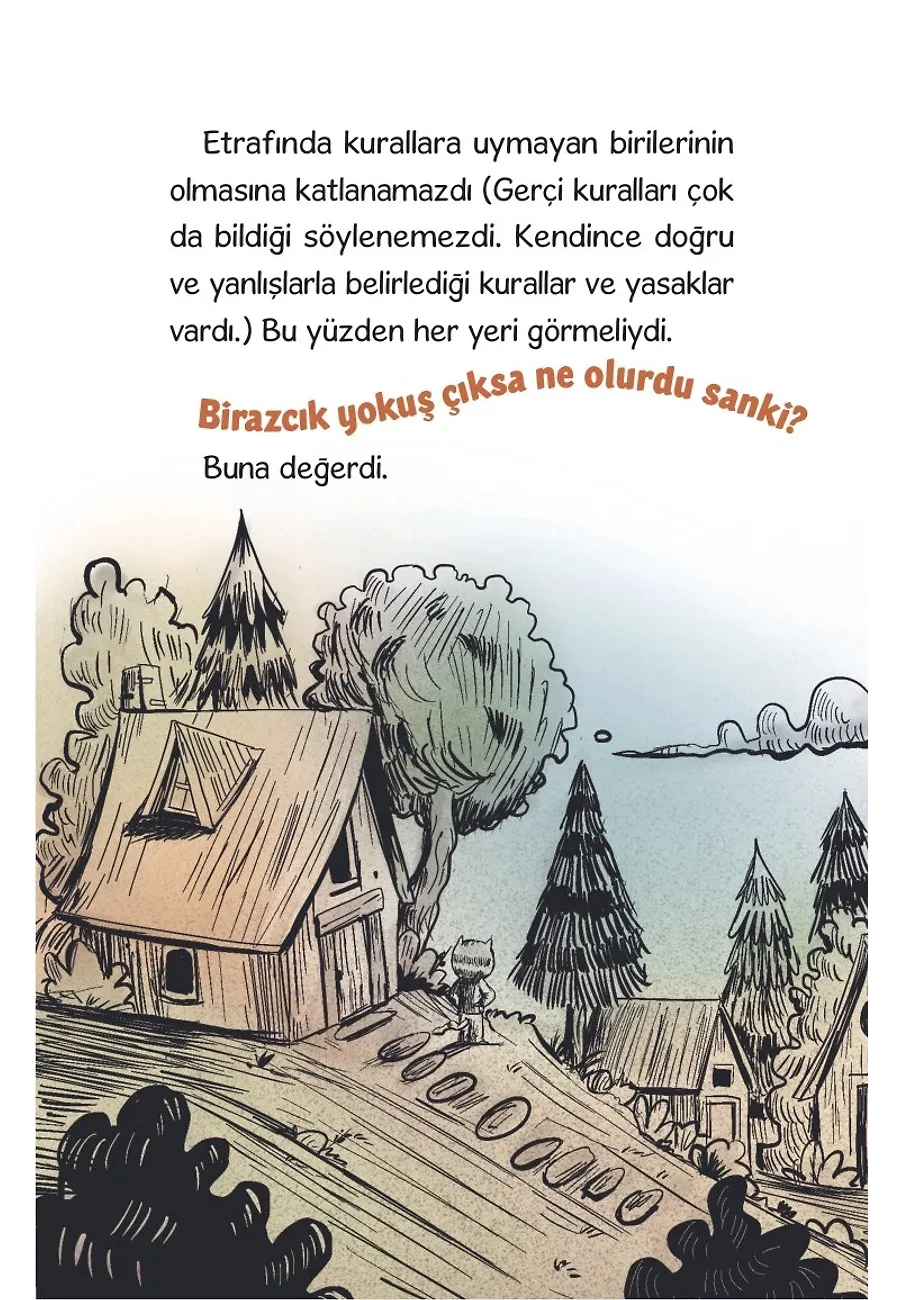 Bay Tekir Ve Onun Tuhaf Kuralları – Sayfa 5