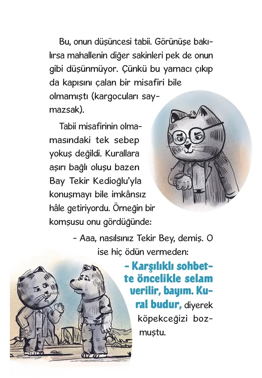 Bay Tekir Ve Onun Tuhaf Kuralları – Sayfa 6