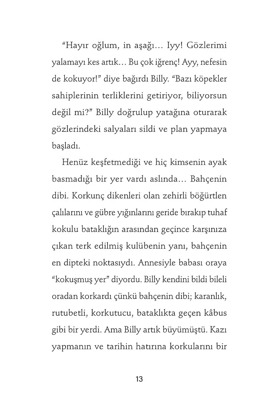 Bahçede Solucan Deliği Bulduğum Gün – Sayfa 6