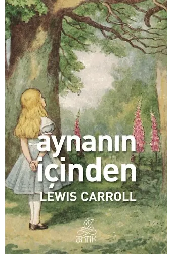 Aynanın İçinden