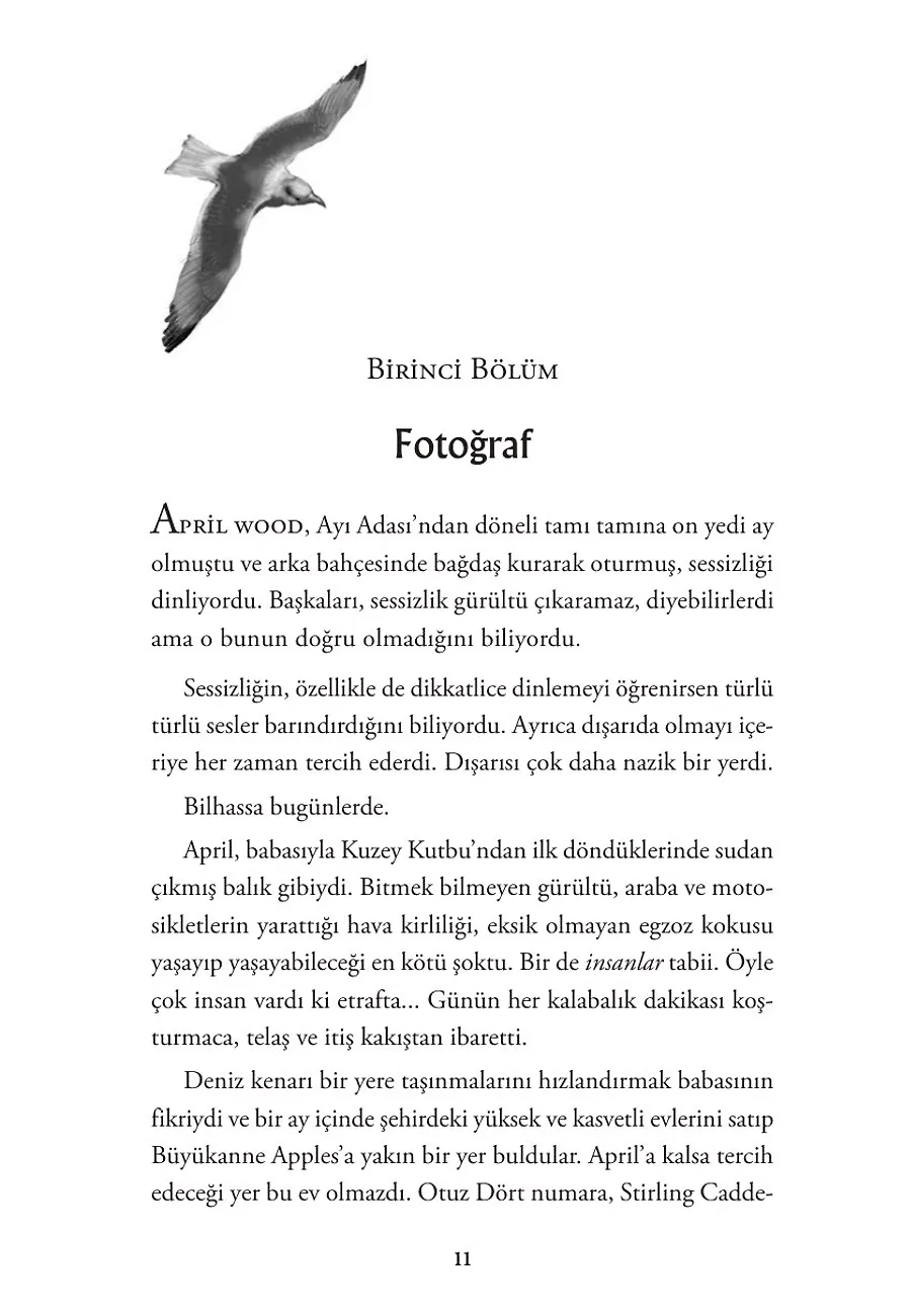 Ayı Dönüyor – Sayfa 1