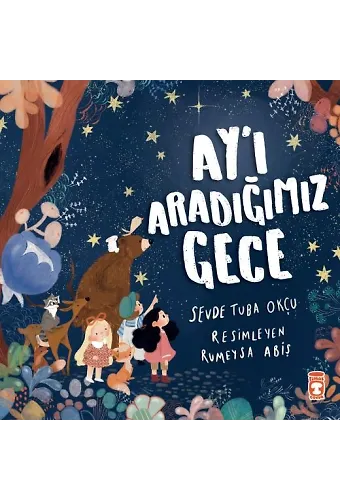 Ay'ı Aradığımız Gece