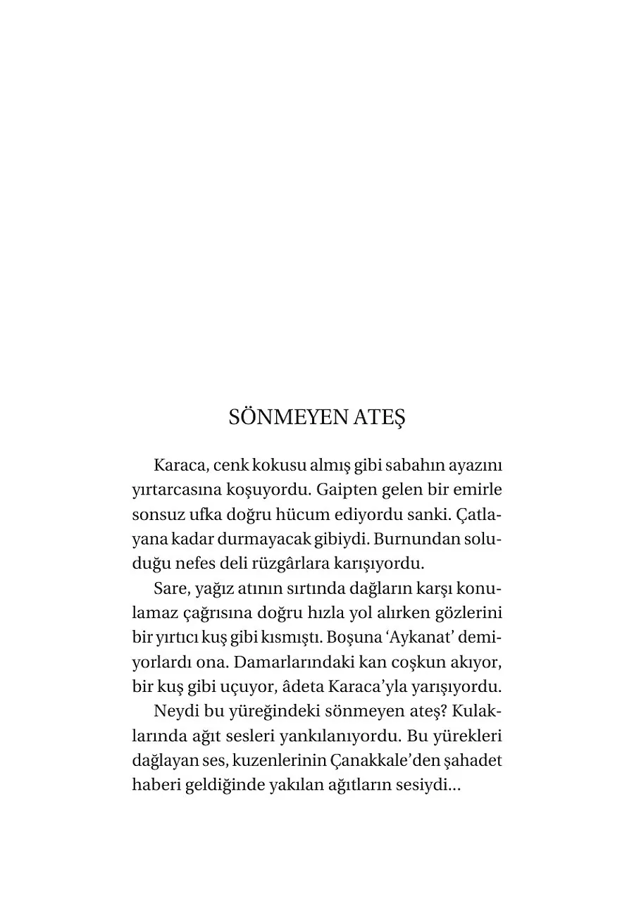 Aykanat Sare - Korkusuz Kahramanlar 2 – Sayfa 4