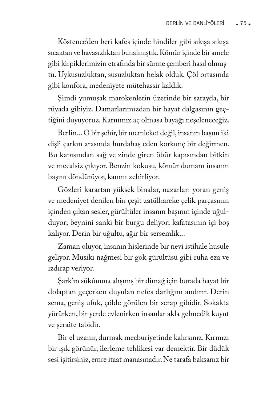 Avrupa Volkanı Patlamadan – Sayfa 2